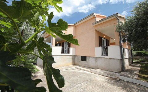 Mia: Plant, Building, Sky, Cloud, Property, Window, House, Shade, Land Lot, Sunlight