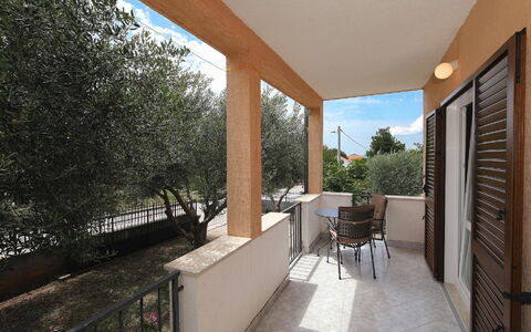 Mia: Plant, Sky, Shade, Building, Tree, Houseplant, Chair, Interior Design, Residential Area, Door
