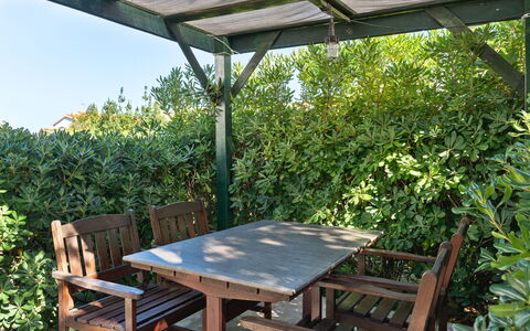Vir 131: Furniture, Outdoor Furniture, Outdoor Table, Table, Shade, Garden, Groundcover, Outdoor Bench, Outdoor Structure, Bench