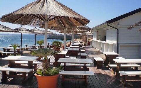 Vir 155: Water, Sky, Plant, Property, Table, Furniture, Flowerpot, Umbrella, Shade, Outdoor Furniture