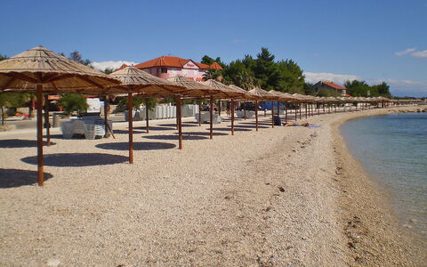 Vir 155: Sky, Water, Azure, Beach, Body Of Water, Shade, Tree, Landscape
