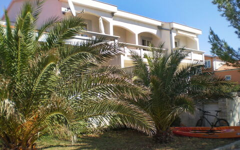 Vir 155: Plant, Building, Sky, Property, Window, House, Arecales, Tree, Land Lot, Neighbourhood