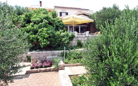 Mirta: Property, House, Real Estate, Garden, Home, Tree, Backyard, Botany, Yard, Landscape