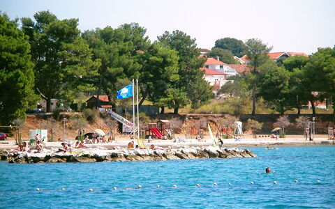 Mihovilka: Body Of Water, Water, Sea, Tourism, Vacation, Leisure, Summer, Tree, Shore, Coast