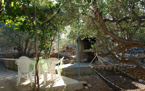 Marica: Tree, Property, Natural Environment, Nature Reserve, Botany, Woody Plant, Plant, Architecture, House, Forest