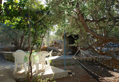 Marica: Tree, Property, Natural Environment, Nature Reserve, Botany, Woody Plant, Plant, Architecture, House, Forest