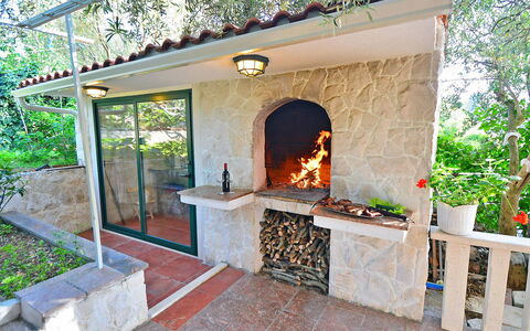 Rogoznica Ražanj 510: Plant, Property, Building, Door, Houseplant, Interior Design, Window, Tree, Flowerpot, Wood