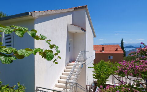 Trogir Slatine 165: Plant, Sky, Property, Building, Flower, Stairs, House, Cottage, Tree, Residential Area