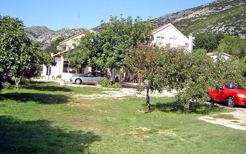 Balota: Property, Motor Vehicle, Grass, House, Wilderness, Vehicle, Tree, Mountain, Home, Lawn