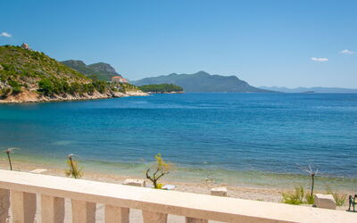Trstenik 100