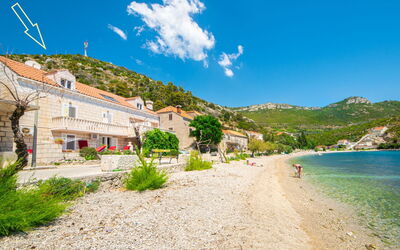 Trstenik 100