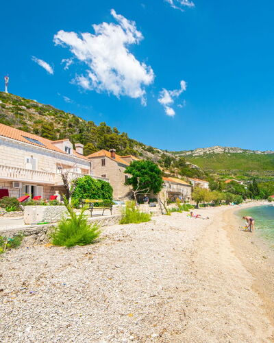 Trstenik 100