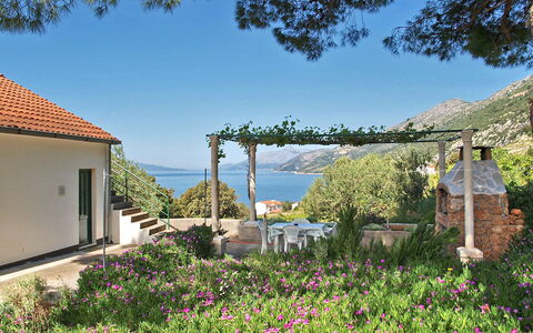 Katica: Plant, Sky, Building, Flower, Property, Nature, Azure, Window, House, Vegetation
