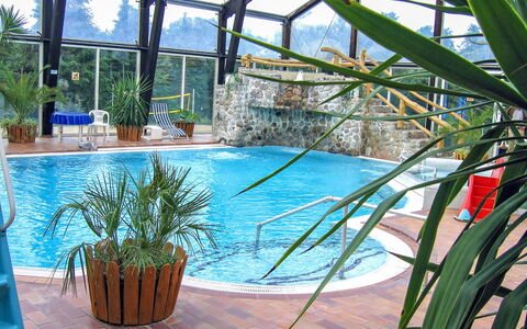 Hechthausen 100: Water, Plant, Property, Swimming Pool, Blue, Botany, Building, Outdoor Furniture, Arecales, Shade