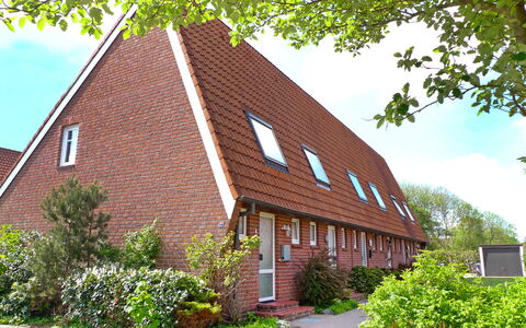 Müter: Plant, Sky, Property, Window, Building, Cloud, Tree, Architecture, House, Land Lot