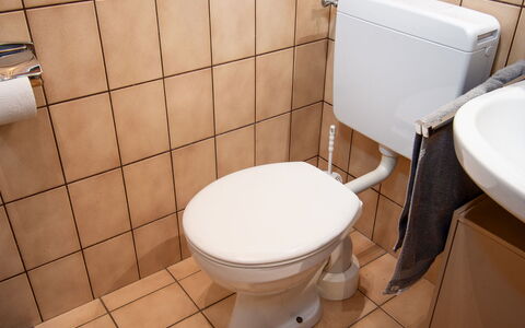 Müter: Brown, Toilet, Plumbing Fixture, Toilet Seat, Bathroom, Purple, Interior Design, Floor, Line, Flooring
