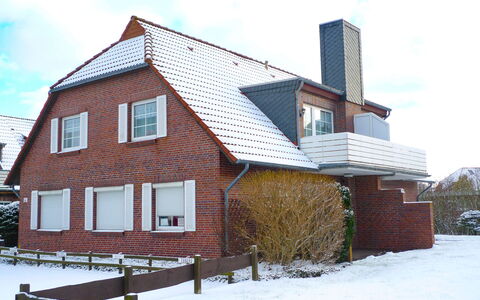 Norddeich 361: Plant, Sky, Property, Building, Window, House, Tree, Land Lot, Grass, Wood