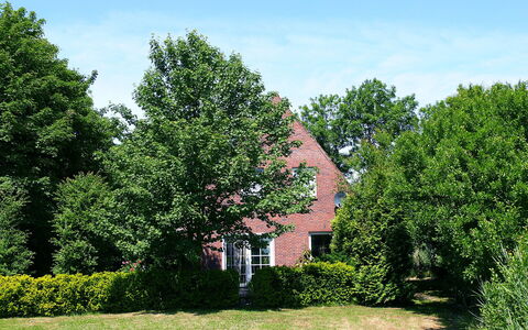 Natur Pur am Nordseedeich: Tree, Green, Property, House, Natural Landscape, Grass, Home, Sky, Woody Plant, Leaf