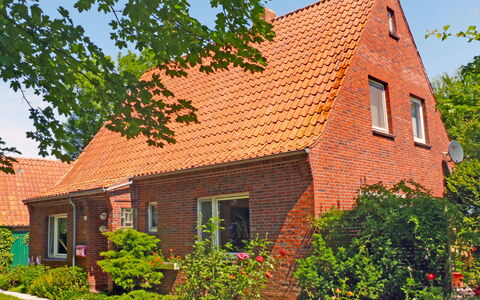Natur Pur am Nordseedeich: Plant, Building, Property, Window, Sky, House, Cottage, Tree, Brick, Wood