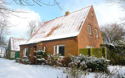 Natur Pur am Nordseedeich