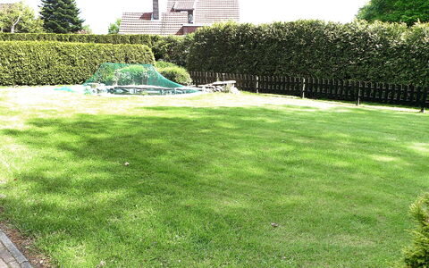 Bentweg: Lawn, Grass, Yard, Garden, Property, Land Lot, Grass Family, Shrub, Plant, Backyard