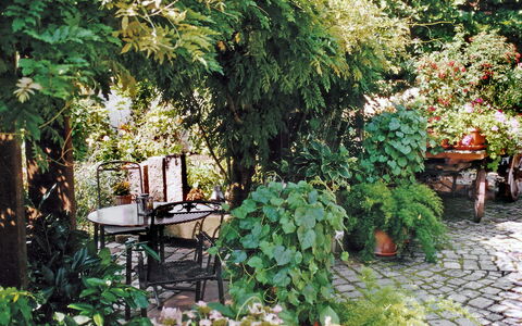 Haus Schwärzel: Plant, Leaf, Vegetation, Grass, Woody Plant, Terrestrial Plant, Groundcover, Shrub, Landscape, Tree