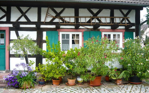 Haus Schwärzel: Flower, Plant, Property, Window, Flowerpot, Houseplant, Building, House, Shrub, Real Estate