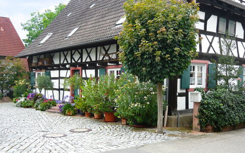 Haus Schwärzel: Plant, Window, Building, Flower, Vegetation, Neighbourhood, Shrub, House, Real Estate, Facade