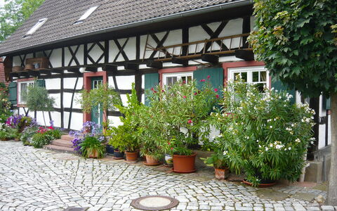 Haus Schwärzel: Flower, Plant, Property, Window, Building, Botany, Architecture, Road Surface, Flowerpot, Houseplant