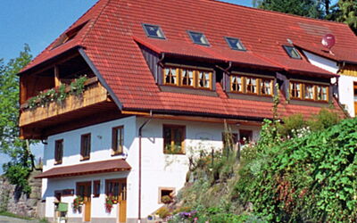 Schiltach 100