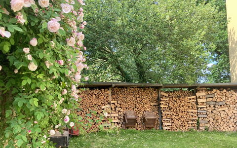 Rosencottage: Flower, Plant, Grass, Woody Plant, Tree, Shrub, Brick, Groundcover, Petal, Brickwork