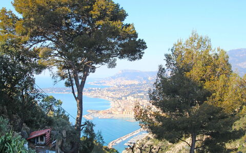 Il Cippo: Tree, Nature, Sky, Wilderness, Leaf, Woody Plant, Mountain, Biome, Plant, Lake