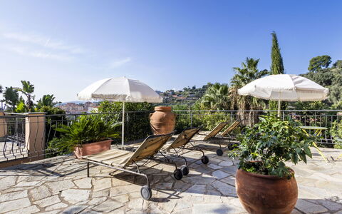 Imperia 200: Plant, Sky, Property, Umbrella, Flowerpot, Shade, Outdoor Furniture, Arecales, Tree, Landscape