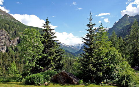 Chez les Roset: Mountainous Landforms, Mountain, Natural Landscape, Highland, Nature, Wilderness, Tree, Mountain Range, Tropical And Subtropical Coniferous Forests, Hill Station