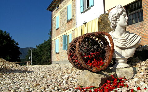 Busani: Window, Sky, Building, Leaf, House, Art, Tints And Shades, Sculpture, Tree, Facade