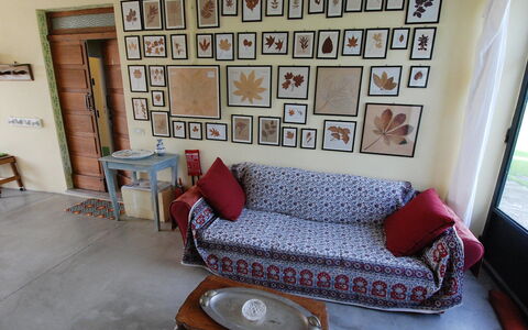 Busani: Room, Furniture, Couch, Living Room, Property, Interior Design, House, Wall, Studio Couch, Building