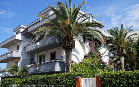 San Benedetto del Tronto 140: Sky, Plant, Cloud, Window, Building, Arecales, Terrestrial Plant, Urban Design, Facade, Residential Area
