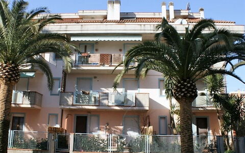 Troiani: Building, Property, Architecture, Palm Tree, Tree, Town, House, Mixed-Use, Hotel, Arecales