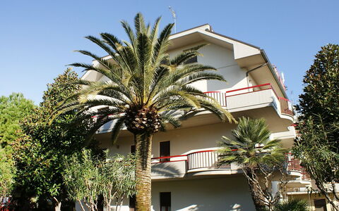 Magnolia: Tree, Property, Palm Tree, House, Building, Home, Architecture, Residential Area, Arecales, Real Estate