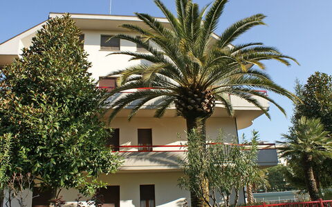 Magnolia: Sky, Plant, Property, Building, Window, Tree, Architecture, Vegetation, Arecales, Terrestrial Plant