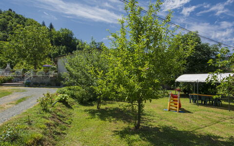Il Frantoio: Tree, Green, Sky, Vegetation, Property, Natural Landscape, Daytime, Real Estate, Grass, Plant