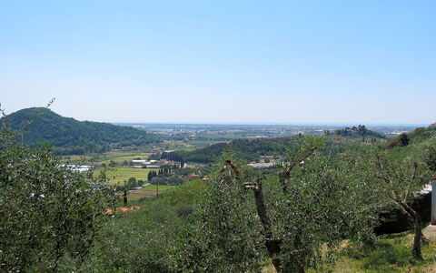 Le Bozzelle: Vegetation, Sky, Tree, Hill Station, Hill, Rural Area, Mountain, Chaparral, Plain, Land Lot
