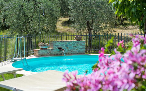 San Gimignano 150: Water, Plant, Flower, Green, Nature, Botany, Tree, Swimming Pool, Grass, Vegetation