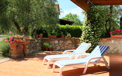 Castelnuovo Berardenga 600 - Castelnuovo Berardenga, Tuscany, Italy - Cinuzza Piccolo 600.2