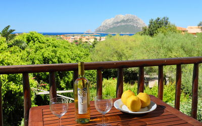 Accommodation:&nbsp;Dalia 14 - Vista Village 200.10
