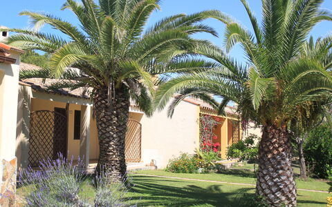 Costa Rei 150: Plant, Property, Sky, Building, Botany, Green, Leaf, Blue, Terrestrial Plant, Arecales
