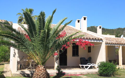 Costa Rei 150: Plant, Building, Sky, Property, Window, House, Shade, Arecales, Terrestrial Plant, Tree