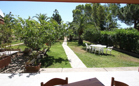 Costa Rei 180: Plant, Property, Sky, Furniture, Nature, Shade, Botany, Tree, Land Lot, Outdoor Furniture