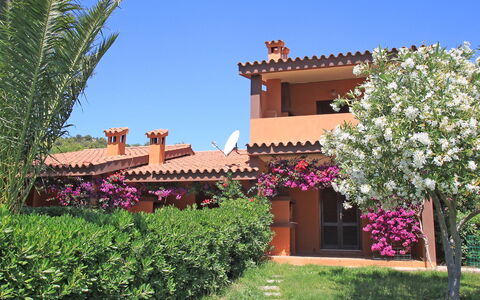Costa Rei 180: Sky, Flower, Plant, Building, Property, Window, House, Tree, Shrub, Leisure