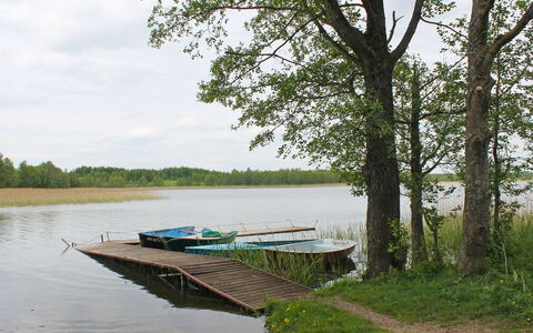 Letniskowa 29: Natural Landscape, Water, Nature, Tree, Bank, River, Natural Environment, Nature Reserve, Lake, Waterway